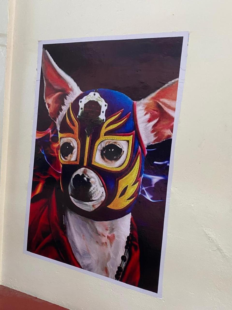 Mil Mascaras Ξενοδοχείο Oaxaca Εξωτερικό φωτογραφία